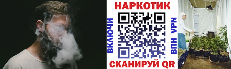 Как найти наркотики Закаменск ЭКСТАЗИ  Конопля  Псилоцибиновые грибы  МЕФ  ГАШ  КОКАИН  Alpha-PVP 