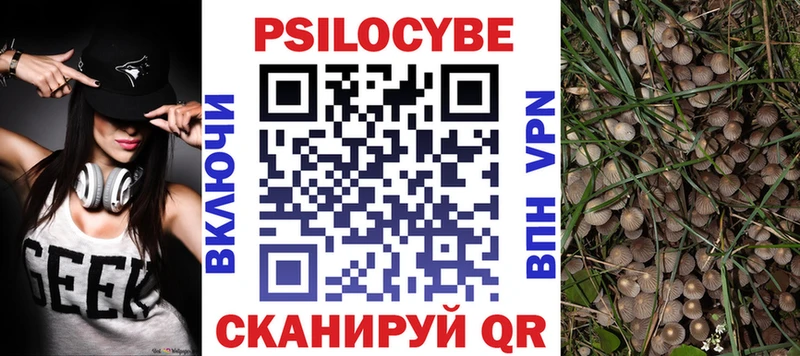 Псилоцибиновые грибы MAGIC MUSHROOMS  как найти закладки  Закаменск 